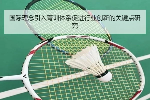 国际理念引入青训体系促进行业创新的关键点研究