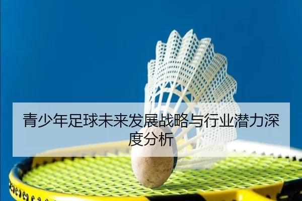 img_1780587799117_393_2_558.jpg